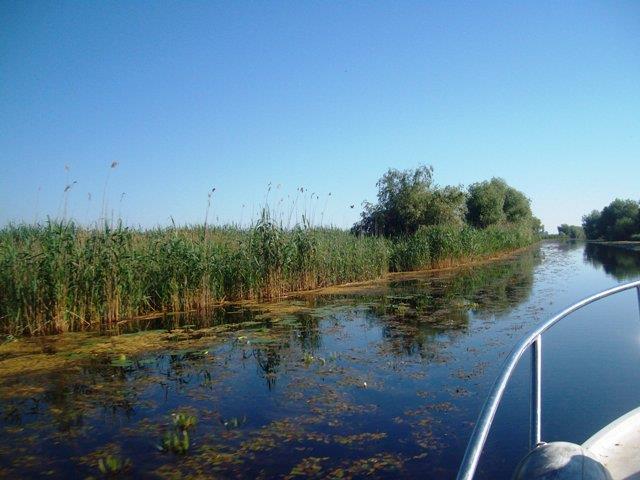 Doar ... NATURA  - 2 - sany0791.JPG